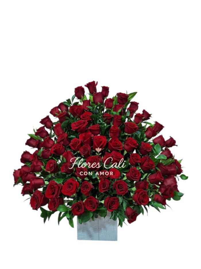 Arreglo de 100 Rosas Rojas Naturales 18