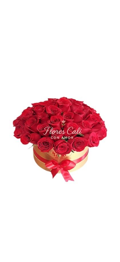 Cilindro con Rosas Rojas 25
