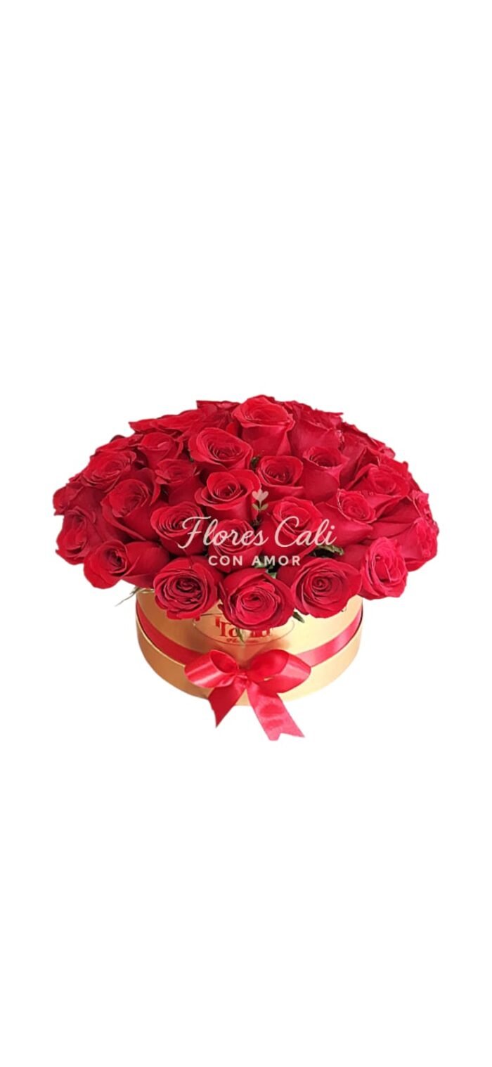 Cilindro con Rosas Rojas 25