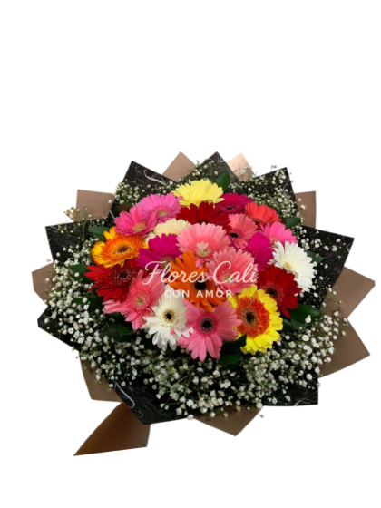 Bouquet de Gerberas Multicolor 41